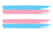 Bandeira LGBTI Trans