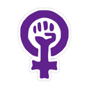 Logo Feministas.pt